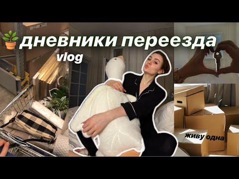 Видео: vlog ПЕРЕЕЗД 🪴🏡 живу одна | организация дома, уборка, шоппинг 📦