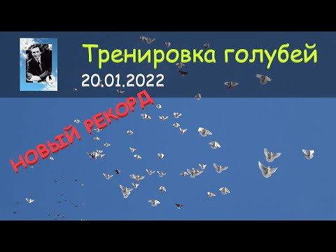 Видео: Новый рекорд на Питомнике им. А.С. Брагина (Полная версия)