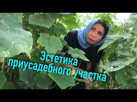 Видео: Умный огород: справиться с сорняками газоном