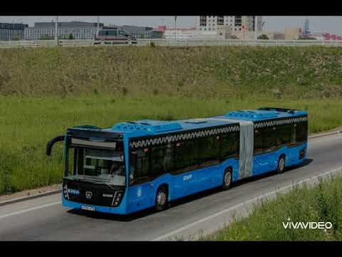 Видео: Бен и Холли второй автобус КамАЗ-6299 и электробус КамАЗ-6292 с гармошкой в Москве 