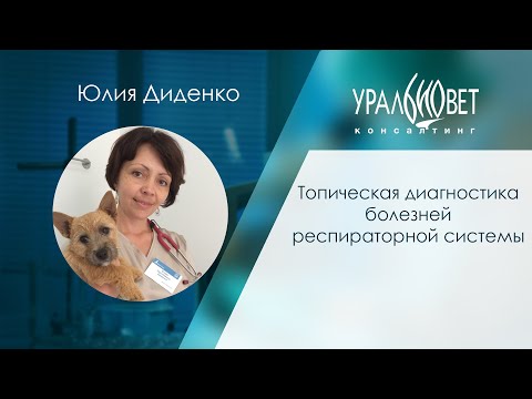 Видео: Топическая диагностика болезней респираторной системы. Лектор Юлия Диденко. #убвк_терапия