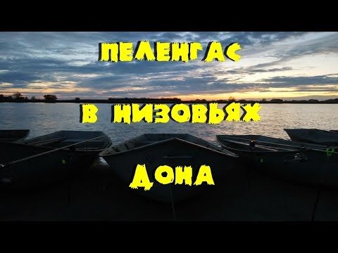 Видео: Ловля пеленгаса в низовьях Дона (Дугино, Рогожкино).