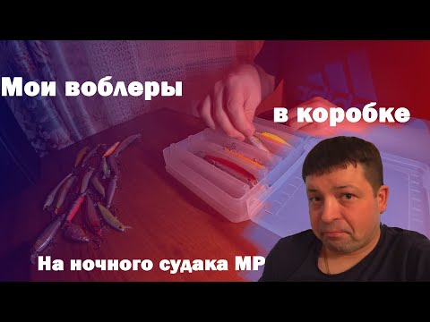 Видео: С ЧЕМ ИДТИ НА СУДАКА? Обзор воблеров в моей коробке для ночного судака на Москва-реке