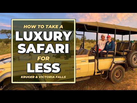 Видео: Африканское сафари по выгодным ценам в Крюгере и на водопаде Виктория | Советы по бронированию ро...