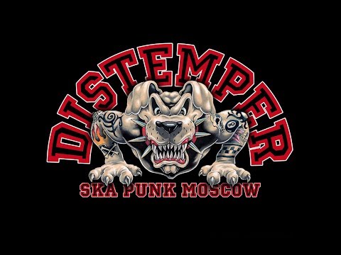Видео: Студия звукозаписи Distemper, большое интервью с Дацентом
