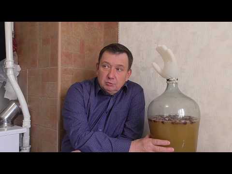 Видео: дрожжи для медовухи .