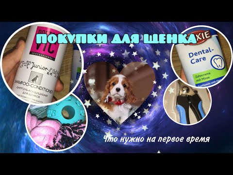 Видео: Покупки для ЩЕНКА🐶Что нужно купить на первое время