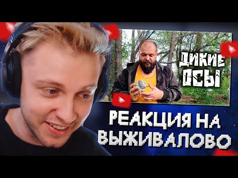 Видео: СТИНТ СМОТРИТ ВЫЖИВАЛОВО: ЕДА ДЛЯ ВЫЖИВАНИЯ В ПРИРОДНЫХ УСЛОВИЯХ - ДИКИЕ ОСЫ