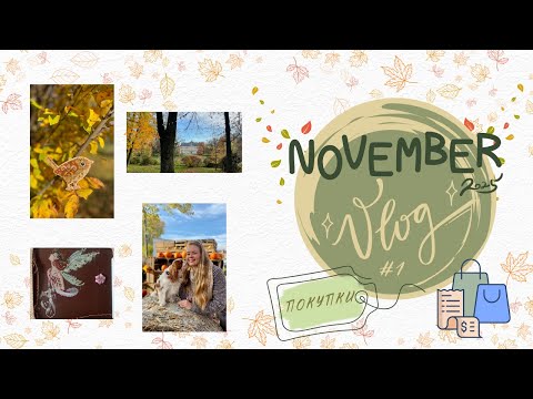 Видео: ВЫШИВКА и УЮТНЫЙ КРАКОВ 📦 Большие ПОКУПКИ и ПРОДВИЖЕНИЯ ПРОЦЕССОВ!