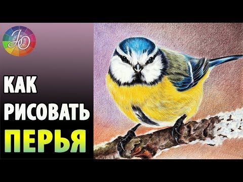 Видео: 👍✔ КАК РИСОВАТЬ ПЕРЬЯ ✎ ЦВЕТНЫМИ КАРАНДАШАМИ ✎ Ответы на вопросы подписчиков