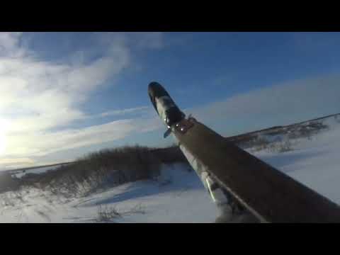 Видео: 12.01.24 коллективная охота на зайца с гончимм