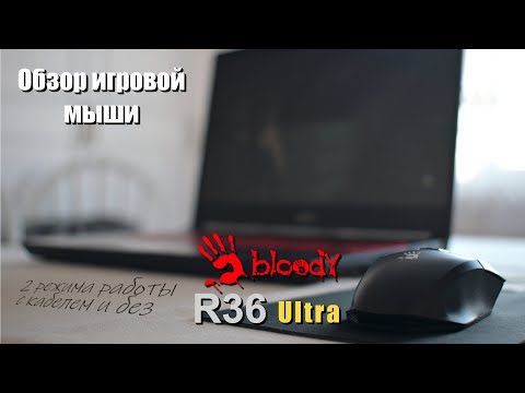 Видео: Обзор игровой мыши Bloody R36 Ultra