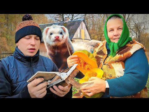 Видео: ВПЕРВЫЕ РЕМОНТИРУЮ ПЕЧЬ. Поселился ХОРЁК, тыква от БАБУШКИ.