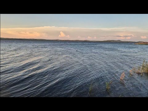 Видео: Акмолинская область, озеро Чебачье