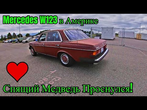 Видео: Мерседес W123 в Америке! Новый Подвесной и Муфты Кардана! Тест- Драйв Вишенки!!!