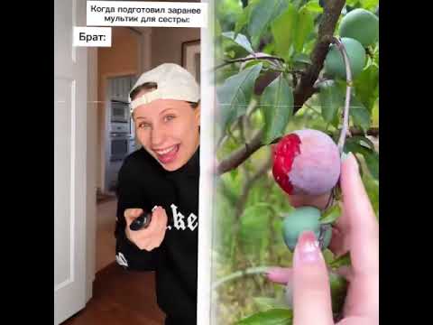 Видео: Смешные сказки.