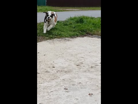 Видео: Объять необъятное - что хотела сделать в выходной день и что получилось