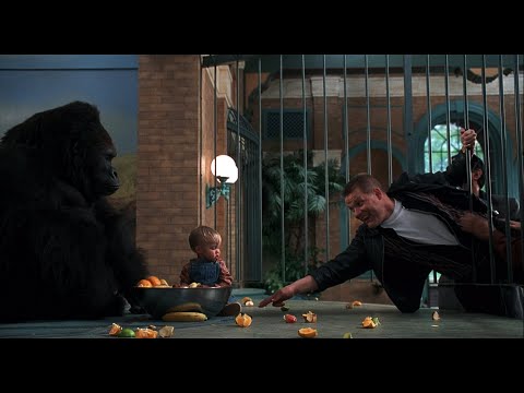 Видео: Трое УГОЛОВНИКОВ не в состоянии поймать маленького ребенка !!! Краткий пересказ