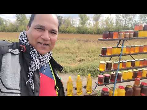 Видео: #санктпетербург #волгоград на #мотоцикл часть 2 #томбов
