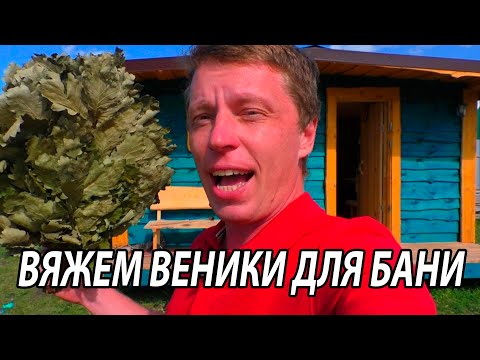 Видео: ВЕНИКИ для БАНИ.  КОГДА вязать веники? КАК вязать ВЕНИКИ.