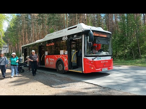 Видео: Пермь | Автобусный маршрут 65 | Берёзовая роща — Кооп.Сосновый бор | Снято 05.06.24