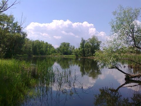 Видео: я купил себе дом... у пруда в Лысогорье... поставьте лайк и поделитесь с друзьями!!!