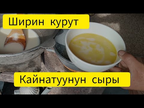Видео: Курутту кантип кайнатуу керек? Курут кайнатуунун сыры.