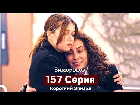 Видео: Зимородок 157 Cерия (Короткий Эпизод) (Русский дубляж)