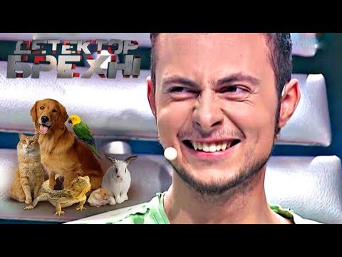 Видео: Мужик *ХОЧЕТ* собаку ► Детектор Лжи ► Владимир Ляшенко
