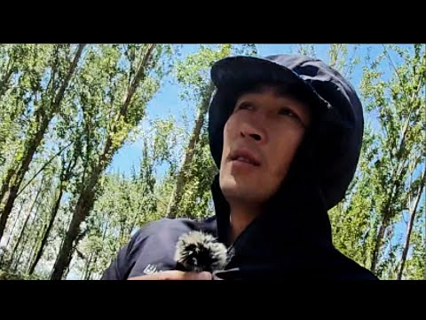 Видео: Манас Ниязов: Кулунду 4- атым.