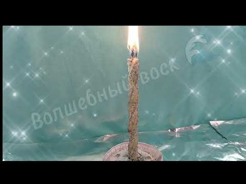 Видео: Отжиг паучьей порчи #отжигнегатива #чистка #ведьма #лучшее #магия #защита #морок #паучьяпорча