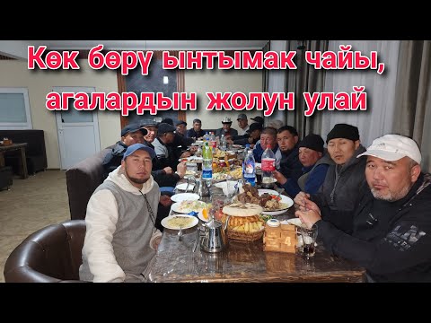 Видео: Көк бөрү ынтымак чайы, агалардын жолун улай