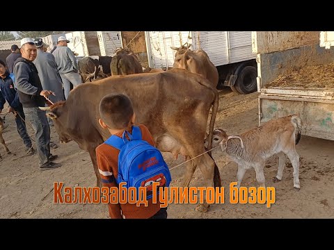 Видео: Калхозабод Гулистон бозор 👍 👍