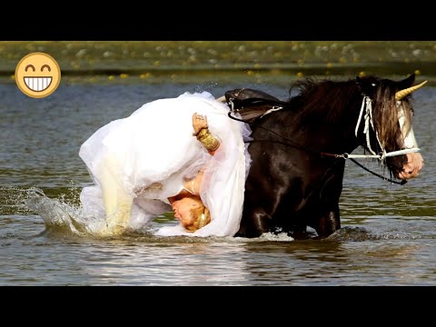 Видео: Смешная подборка с тик-ток #3 Я ржал до слез 😂 20 Минут смеха 2025 Смешные видео Приколы с животными