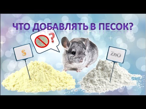 Видео: Что добавлять в песок шиншиллам? Эффективна ли сера, как профилактика, от грибка у шиншилл?