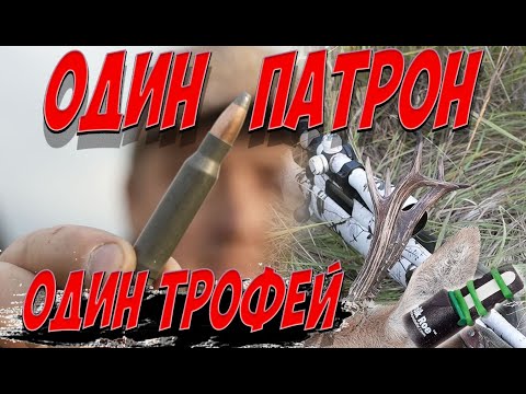 Видео: Охота на косулю с манком. Гон у сибирской косули. Roe deer hunting with decoy.  4K Nordik Roe