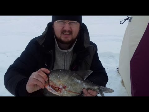 Видео: Зимой один на льду. Лещ, эксперимент c прикормкой, которой не было.