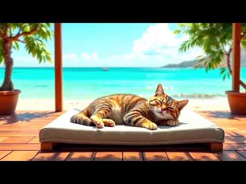 Видео: Лето, море и уютный кот 🐾😺 | Summer, Sea and Cozy Cat