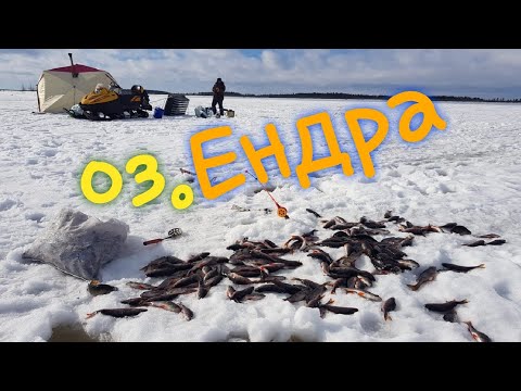 Видео: озеро ендра. ХМАО.