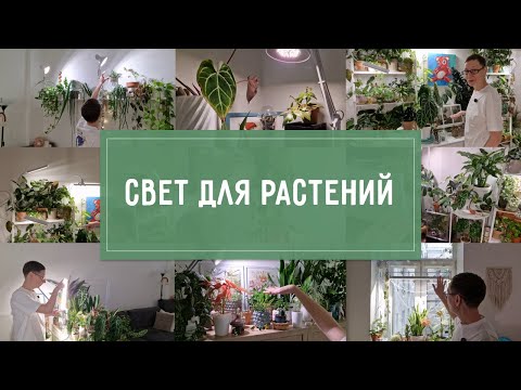 Видео: ВСЁ про мой СВЕТ для РАСТЕНИЙ