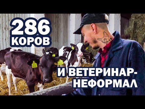 Видео: Ветеринар-неформал уехал в деревню по распределению