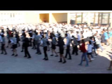 Видео: Флэшмоб, Флэш моб НИШ Тараз