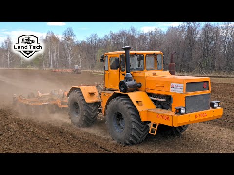Видео: Модернизированный трактор К-700А работает с дисковой бороной БДМ-4х4ПМ. Пересев погибшей культуры.