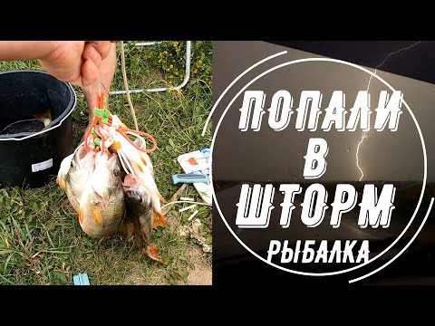 Видео: ПОПАЛИ В ШТОРМ - СОБРАЛИ УЛОВ! РЫБАЛКА НА ОБСКОМ МОРЕ. НОВОСИБИРСКАЯ ОБЛАСТЬ! НЕ БЕЗ ПРИКЛЮЧЕНИЙ!