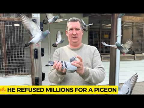 Видео: Он отказался от миллионов: нерассказанная история золотого правила Рика Херманса