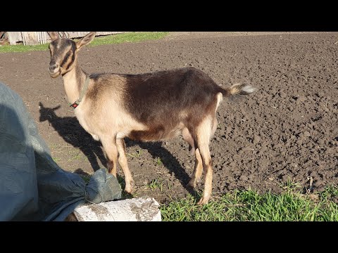Видео: Ответы на вопросы из комментариев 