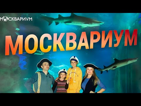 Видео: Москвариум - Наш взгляд на прекрасный мир за стеклом