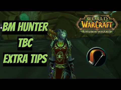 Видео: 5 Лайфхаков! | БМ Охотник ПВЕ | BM Hunter PVE | WoW Burning Crusade(TBC)