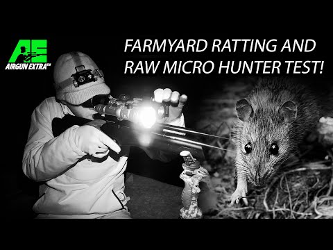 Видео: Airgun Extra | Как подстрелить больше крыс ночью | Обзор RAW HM 1000 Micro Hunter