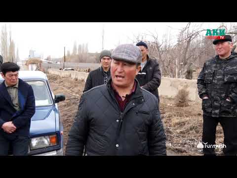 Видео: Бештеректиктердин тиштери эмнеден саргайып жатат?